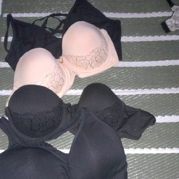 Elegant Lace Trimmed Black and Cream Bra Set - Picture 1 of 4